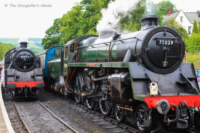 two trains at nymr