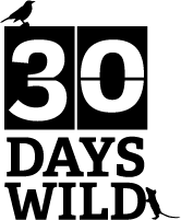 30DAYSWILD logo web small